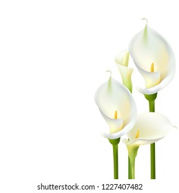 Calla Flowers. White Bouquet. Greeting Card Wedding.