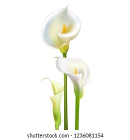 Calla Flowers. White Bouquet. Greeting Card Wedding.