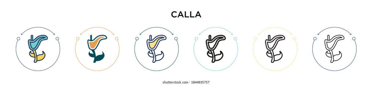 Calla icon in filled, thin line, outline and stroke style. Vector illustration of two colored and black calla vector icons designs can be used for mobile, ui, web