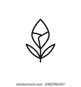 calla icon logo sign vector outline