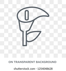 Calla icon. Trendy flat vector Calla icon on transparent background from nature collection. High quality filled Calla symbol use for web and mobile