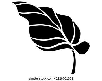 Hoja de Calla, planta tropical - imagen de silueta vectorial para logotipo o pictograma. Suculenta hoja tropical - signo botánico o icono