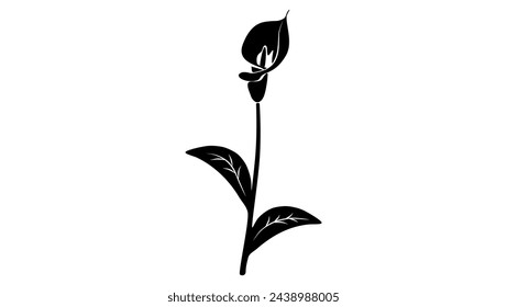 Calla Lilies, black isolated silhouette