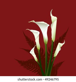Calla lilies and ferns composition on warm background