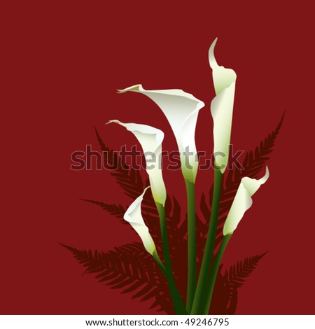 Calla lilies and ferns composition on warm background