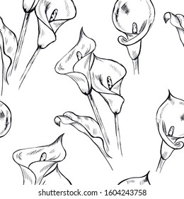 Calla lilies lowers, botanical , nature seamless pattern on white background . Concept for print, wallpapers, wrapping paper  