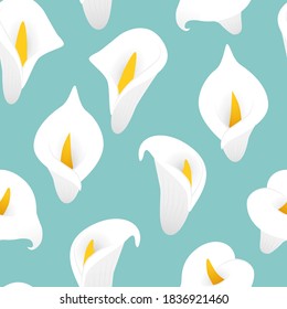 Calla Lilly, floral, sin costura. Un entorno elegante y sutil. Ilustración vectorial.