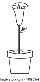 calla lilly flower icon