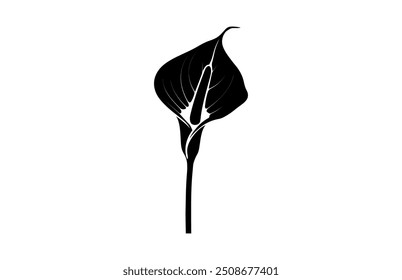 Calla Lily Black Silhouette Vetor, Arum Lily Silhouette Clipart