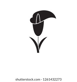 Calla Lily Black Vector Concept Icon. Calla Lily Flat Illustration, Sign