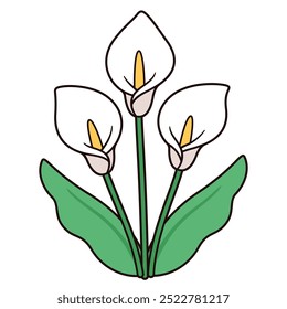 Desenho de buquê de flores de lírio Calla, design simples e elegante. Três lírios brancos com folhas, ilustração vetorial isolada.