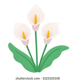Calla lily flower bouquet. Three white lilies with leaves, stylized decorative style, isolated vector illustration.
