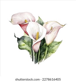 flor de lirio de calla aislada de fondo blanco. vector acuarela para invitación a boda, impresión, sublimación, taza, camiseta, tumbler