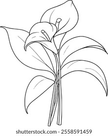 Calla lily flower one line drawing art. Line continuous style. Simple black and white logo, icon, design