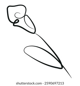 calla lily flower simple icon with stems in line art style drawn with original outline, for logos, designs or ornaments