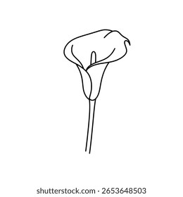Calla Lily flower in a simple, minimalist line art drawing. Outline icon representing elegance, beauty, and purity in floral design.