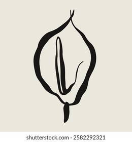 calla lily flower sketch illustration