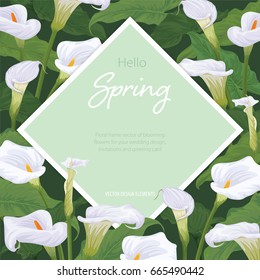 Calla lily flowers frame on green background. Vector set of blooming flowers for your design. Adornment for wedding invitations and greeting card. 