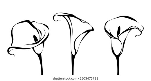 Calla lily flowers. Line art illustrations of callas isolated on a white background. Set of vector black and white contour drawings. Hand-drawn illustration, not AI