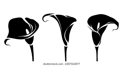 Calla Lilienblumen. Satz von schwarzen Silhouetten von Calla-Blumen einzeln auf weißem Hintergrund. Vektorgrafik