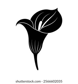 A calla lily icon Vector art
