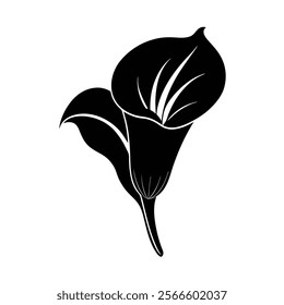 A calla lily icon Vector art
