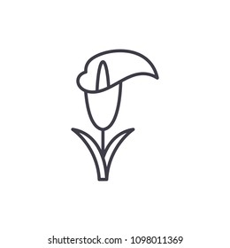 Calla lily line icon concept. Calla lily flat vector sign, symbol, illustration.
