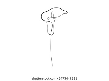 Calla lily one continuous line drawing vector illustration