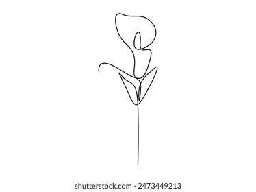 Calla lily one continuous line drawing vector illustration