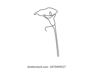Calla lily one continuous line drawing vector illustration