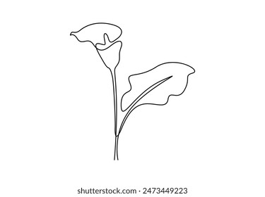 Calla lily one continuous line drawing vector illustration