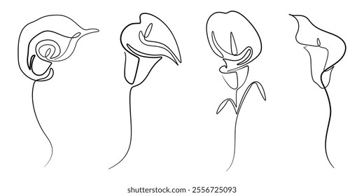 Calla lily one continuous line drawing vector illustration. Premium vector, Spring Snowdrop Flower Single Line Drawing with Editable Stroke and Copy Space, Single one line drawing beauty fresh.