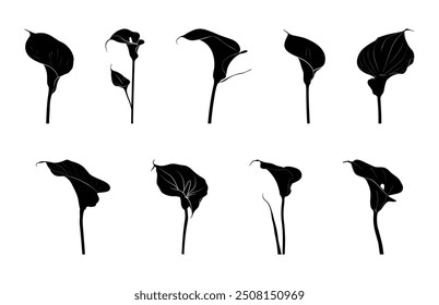 Calla Lily Silhouette Clipart Bundle, Arum Lily Black Silhouette Vetor Set