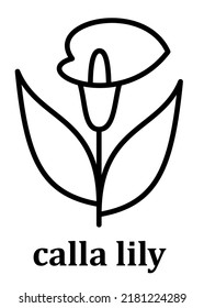 Calla Lily Vector Linear Icon. Calla Lily Flower Petal Line And Branch With Leaves. Simple Minimal Illustration Linear Style For Mobile Concept And Web Design. Pixel Perfect Vector Graphics.