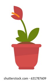 Calla plant in flowerpot isolated on white vector picture