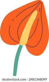 Calla Tropical Flower Vector Illustration