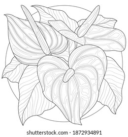 
Callas flowers.Coloring book antistress for children and adults. Zen-tangle style.Black and white drawing