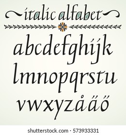 Calligraphic  Alphabet With Decorative Border