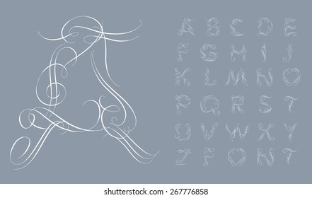  Calligraphic alphabet. Design elements can be used for invitation, congratulation. Digital illustration