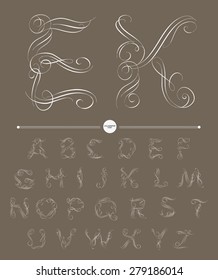  Calligraphic alphabet. Design elements can be used for invitation, congratulation. Digital illustration
