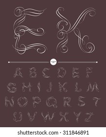  Calligraphic alphabet. Design elements can be used for invitation, congratulation. Digital illustration