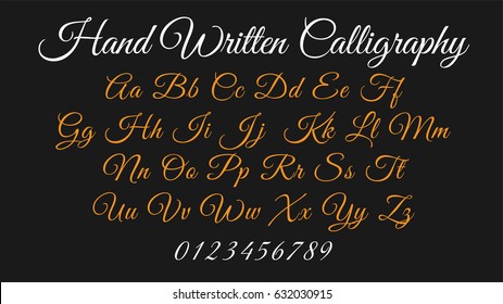 Calligraphic alphabet. Vector letters and numbers. Hand drawn typeface. Font illustration