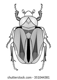 Calligraphic beetle drawing in black and white. Beetle shape decorated with graphic elements. Vector EPS10