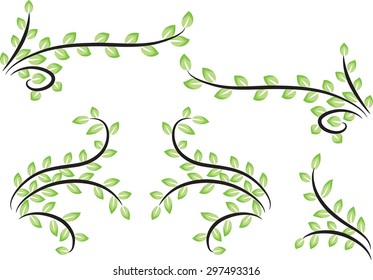 Calligraphic decorative element with line