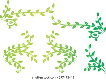 Calligraphic decorative element with line