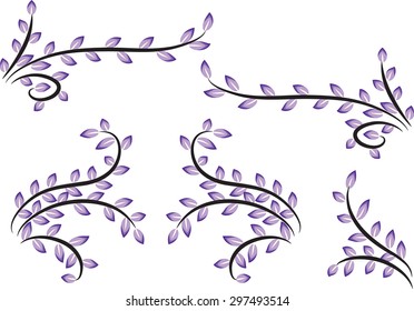 Calligraphic decorative element with line