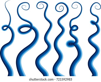 Calligraphic decorative elements with lines