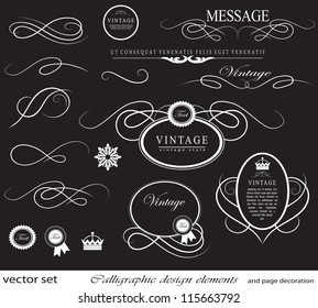 calligraphic design elements and page decoration/ vector set