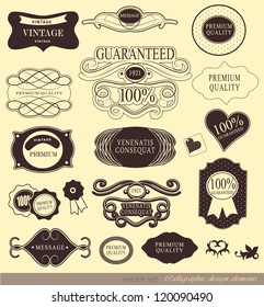 calligraphic design elements, page decoration and label/ vector set