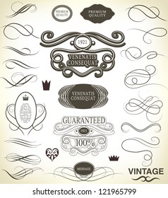 calligraphic design elements and page decoration with ribbon/ vector set